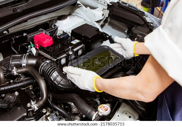 Woman hand
holds tray of mousetrap glue placed in the engine compartment to
prevent rats from biting the wires and creating nests that cause
dirt and damage in the engine
compartment.