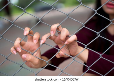 Woman Hand On Wire Mesh,Sexual Liberation Concept.