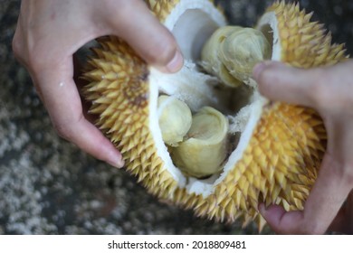 Durian Hand Hd Stock Images Shutterstock