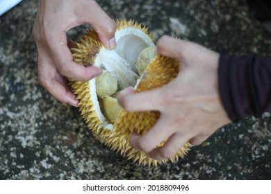 Durian Hand Hd Stock Images Shutterstock