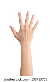 Woman hand showing the five fingers isolated on a white background