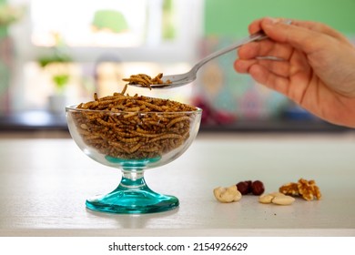 Woman hand and a Snack insects on a spoon. Mealworm larvae as food and variation of nuts. Mealworms crustaceans tenebrio molitor, freeze-dried for snacking. Roasted Fried worms. Animal Snack concept