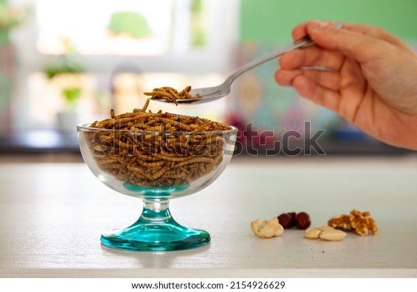 Woman hand and a Snack insects on a spoon.\
Mealworm larvae as food and variation of nuts. Mealworms\
crustaceans tenebrio molitor, freeze-dried for snacking. Roasted\
Fried worms. Animal Snack\
concept