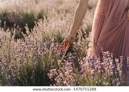 Similar – Image, Stock Photo Seen from the frog’s perspective: Lavender, poppy and curious woman
