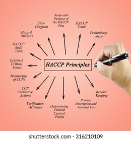 Woman Hand Writing Element Haccp Principle Stock Photo