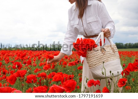 Woman with handbag picking poppy flowers in beautiful field, closeup