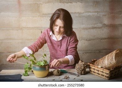 Woman Is Handcrafting A House Plant