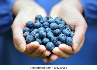 Woman with handful of freshly picked organic blueberries - Powered by Shutterstock