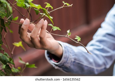 A Woman Handling Poison Ivy In An Urban Environment