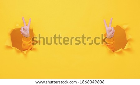 Woman hands arms showing victory sign v-sign isolated through torn yellow wall background studio Copy space advertisement place for text or image promotional content Advertising area workspace mock up