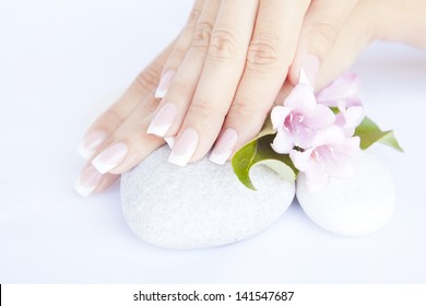 Woman Hands With Beautiful French Manicure Nails And Flower