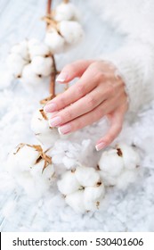 Woman Hands With Beautiful French Manicure Holding Delicate White Cotton Flower