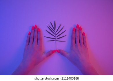 Woman Hands With Beautiful Orange Manicure And Palm Leaf In A Trendy Neon Light. Retrowave And Synthwave Style.