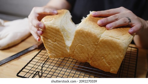 Woman hands breaking Fresh homemade Baked Japanese Soft and Fluffy Bun loaf of Bread or shokupan bread, Popular as Hokkaido Milk Bread at home kitchen	
				