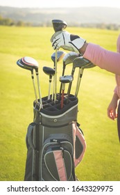 Woman Hands Choosing Golf Clubs From The Golf Bag, Sport Concept