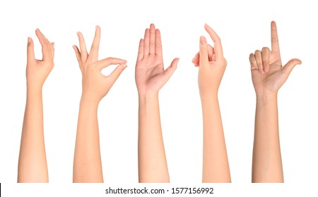 Woman hands collection isolated on white background. - Shutterstock ID 1577156992