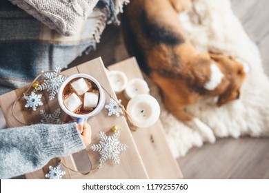 Woman Hands With Cup Of Hot Chocolate Close Up Image; Cozy Home; Sleeping Dog; Christmas Time