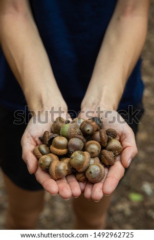 Woman with hands full of acorns.
