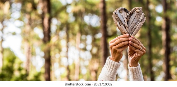Woman hands holding firewood in shape of heart against trees in forest, woman showing heart shape made from bark. Female hands making heart shape symbol with tree bark