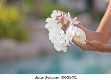 Woman hands holding Flower lei garland of white plumeria. Welcoming Lei on the hawaiian island. Plumeria flowers.