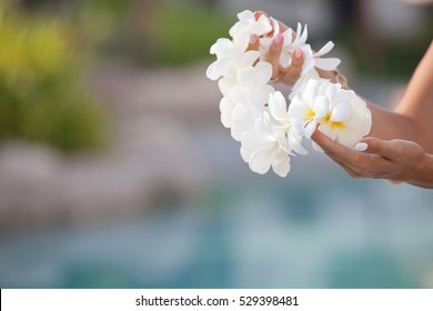 Woman hands holding Flower lei garland of white plumeria. Welcoming Lei on the Hawaiian island. Plumeria flowers.