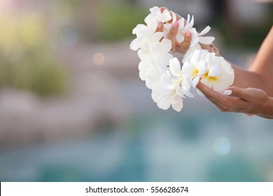 Woman Hands Holding Flower Lei Garland Of White Plumeria. Welcoming Lei On The Hawaiian Island. Plumeria Flowers.