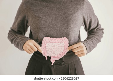 Woman hands holding intestine shape, healthy bowel digestion, leaky gut, probiotic and prebiotic for gut health, colon, gastric, stomach cancer concept - Shutterstock ID 2306228027