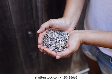 Woman Hands Holding Organic Sunflower Seeds