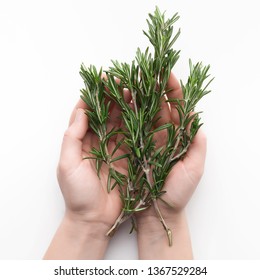 Woman hands holding rosemary sprigs at white background, top view. Mediterranean herbs concept, copy space - Powered by Shutterstock