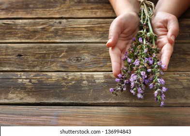 Woman Hands Holding Sage Plant Flowers