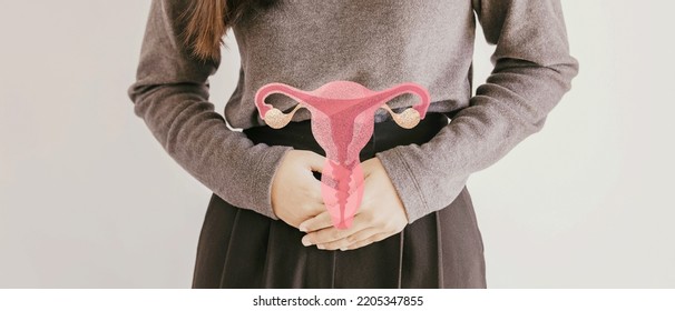 Woman Hands Holding Uterus, Female Reproductive System , Woman Health, PCOS, Gynecologic And Cervix Cancer Concept