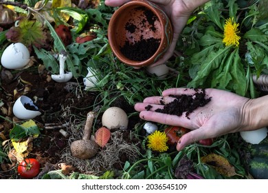 Woman hands keep coffee grounds above compost box outdoors full with garden browns and greens and food  wastes, sustainable life, zero waste concept  - Shutterstock ID 2036545109