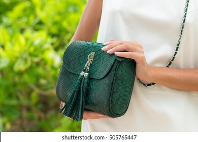 Woman Hands With Luxury Handmade Green Snakeskin Python Handbag. Beautiful Asian Background.