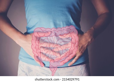 Woman Hands On Her Stomach With Intesline, Probiotics Food For Gut Health, Colon Cancer, Bowel Inflammatory Concept