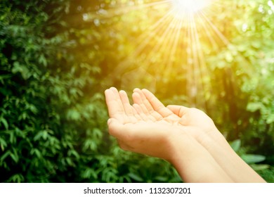 Woman hands place together like praying in front of nature green  background. - Shutterstock ID 1132307201