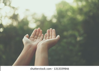 Les mains des femmes s'accordent comme la prière devant un arrière-plan nature vert.