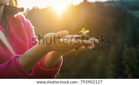 Similar – Image, Stock Photo Trees of life on cabbage leaves