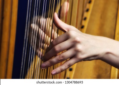 hand harp player