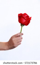 Hand Holding Rose Images, Stock Photos & Vectors | Shutterstock