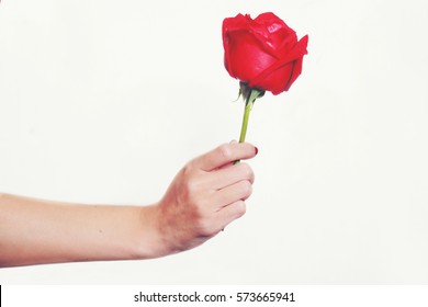 214,020 Female hand holding flower Images, Stock Photos & Vectors ...