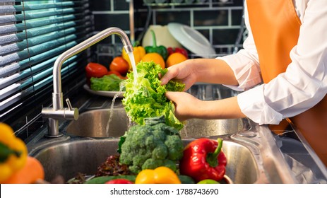 Woman hands washing Vegetables for Preparation of vegan salad on the worktop near to sink in a modern kitchen, Homemade healthy food concept - Powered by Shutterstock