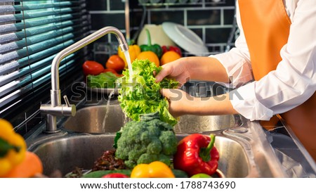 Woman hands washing Vegetables for Preparation of vegan salad on the worktop near to sink in a modern kitchen, Homemade healthy food concept