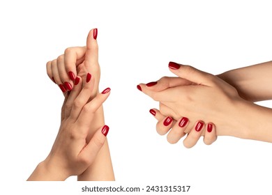 Manos de mujer con uñas de color rojo vino aisladas sobre un fondo blanco. Esmalte de uñas rojo. Forma de uña cuadrada. 