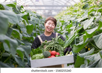 A woman with harvested vegetables,