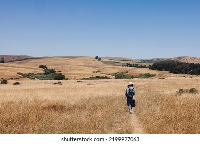 Woman in a hat walking outdoors through the hills with dry grass, view from the back