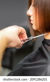 Woman Having A New Haircut. Male Hairstylist Cutting Brown Hair With Scissors In A Hair Salon