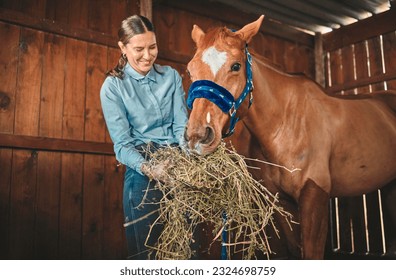 Woman, hay and feeding horse in stable, barn and rancher of farming animals in sustainable shed. Happy female farmer, owner and care for equestrian livestock, hungry brown stallion and farm pet - Powered by Shutterstock