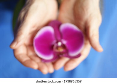 Woman Health Concept. Blurred Photo Of Female Hands Gently Holding An Open Flower. Symbolizes The Careful Protection Of Women's Health