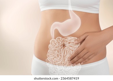 Woman with healthy digestive system on light background, closeup. Illustration of gastrointestinal tract