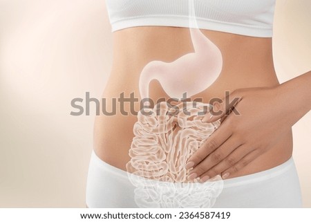Woman with healthy digestive system on light background, closeup. Illustration of gastrointestinal tract Stock foto © 